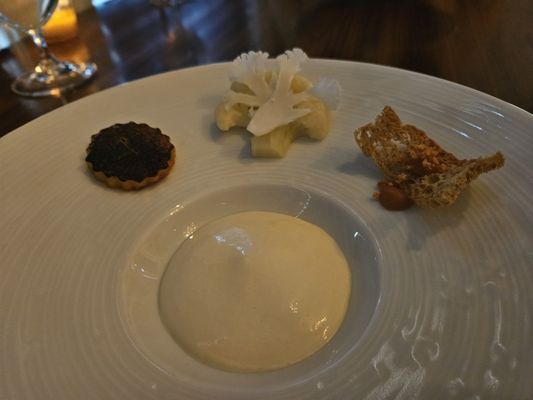 The Painted Lady by null