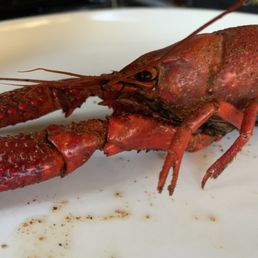 Love the crawfish, and the ice cream the spaghetti and meatballs looked like something you'd get at the supermarket