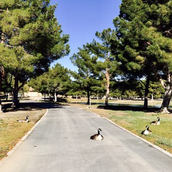 Apollo Community Regional Park - Ducks taking over 04/29/17 - Parks Near Me - Lancaster, California Apollo Community Regional Park - Ducks taking over 04/29/17 - Parks Near Me - Lancaster, California
