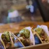 The Tipsy Lion Bar & Grill gift card