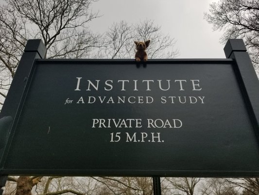 Institute for Advanced Study by null