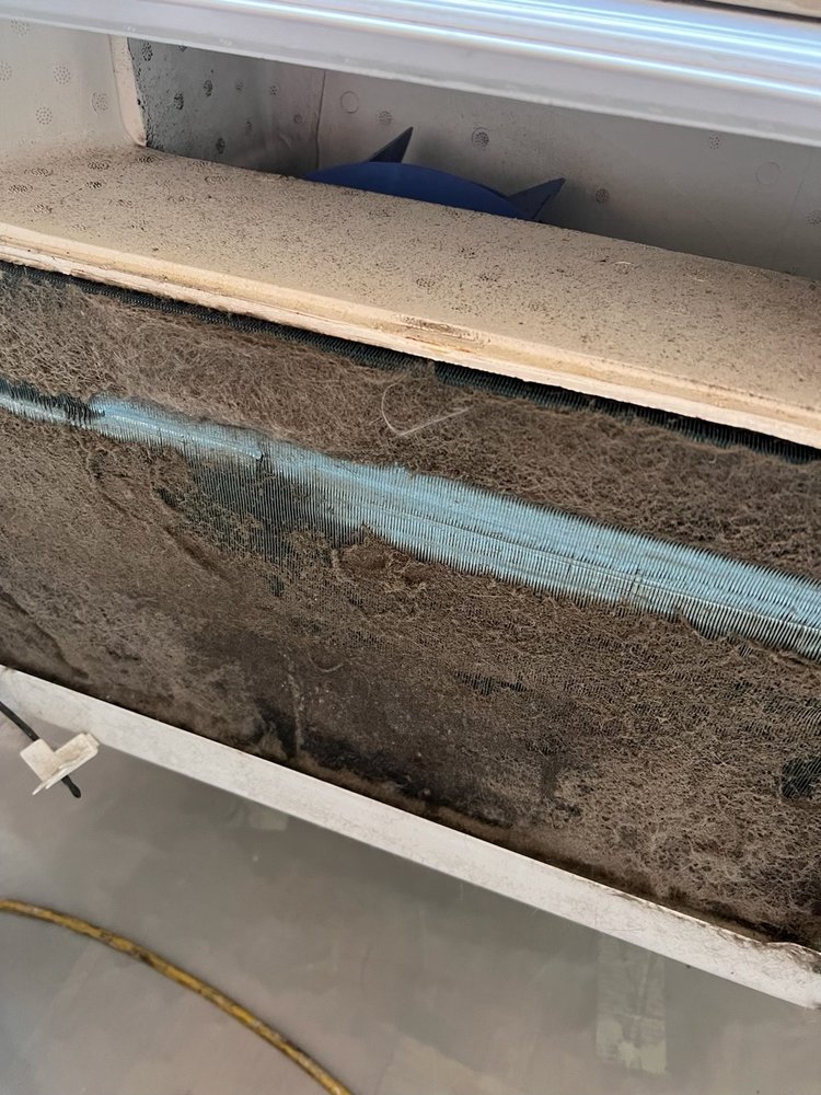 Accredited Environmental Solutions - mold inspector in Port Washington, NY