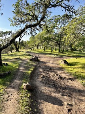 Trione-Annadel State Park by null