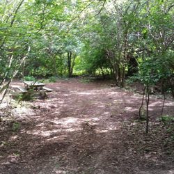 Glacier Valley Campground - One of several tent sites