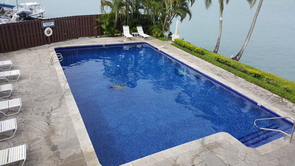 PERFECT POOLS OAHU 7192 Kalanianaole Hwy, Honolulu, Hawaii Pool