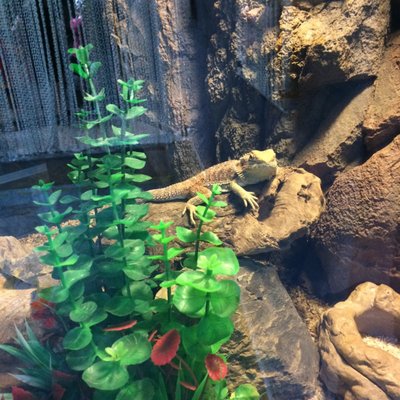 Underwater World Langkawi by null