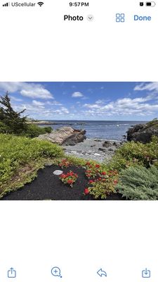 Ogunquit Museum of American Art by null