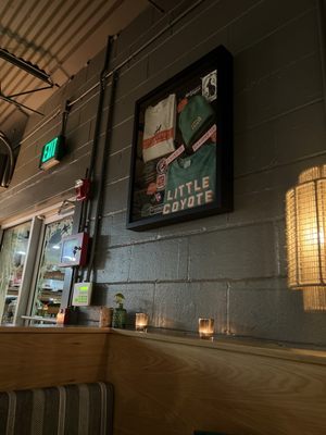 Little Coyote by null