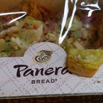 Panera Bread - Nice brown ends, just a sampling of the brown wilted lettuce in this salad...mmmm rotted lettuce, delish! - Sandwiches Near Me - Keizer, Oregon