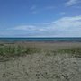 Real Estate One of Alpena