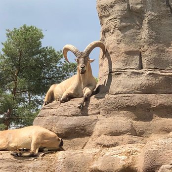 Toronto Zoo - Zoos Near Me - Toronto, Ontario Toronto Zoo - Zoos Near Me - Toronto, Ontario