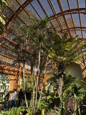 Botanical Building by null
