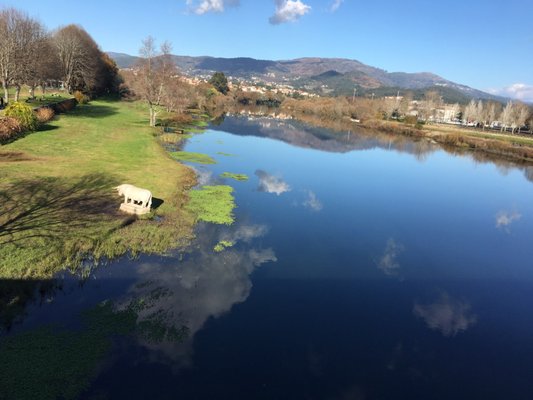 Restaurante Petiscas by null