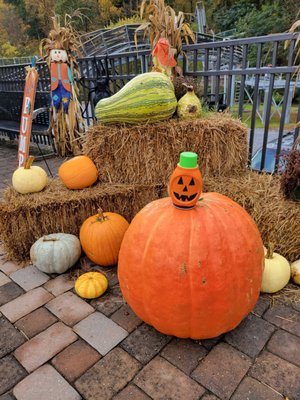 Smoky Mountain Alpine Coaster by null