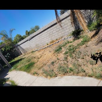Elite Landscape Group - Backyard before turf - Landscaping Near Me