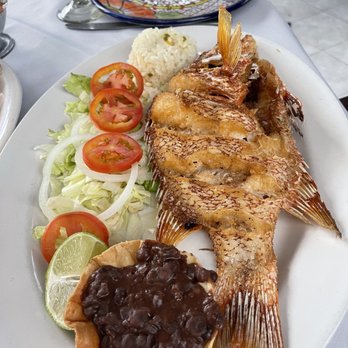 La Mission - Whole fish - Excellent!!!! - Seafood Near Me - Cozumel, ROO La Mission - Whole fish - Excellent!!!! - Seafood Near Me - Cozumel, ROO