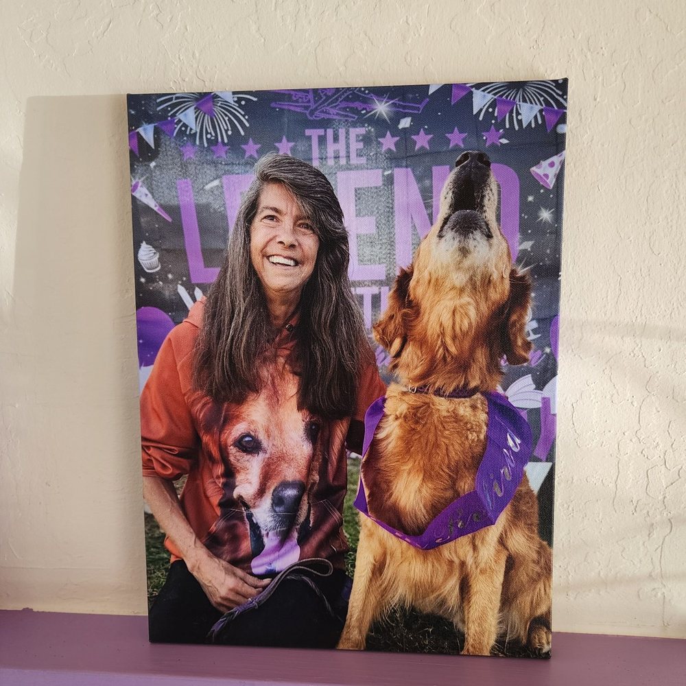Dogtor Calls - Dr. Kelly McNair - Veterinarians Near Me - Novato, California Dogtor Calls - Dr. Kelly McNair - Veterinarians Near Me - Novato, California
