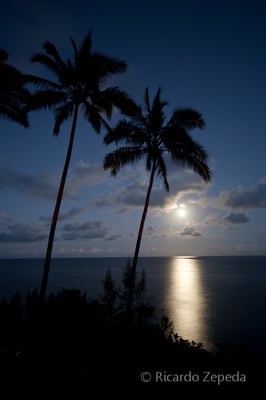 Hale Kai Hawaii Suites - Oceanfront Hilo Lodging by null