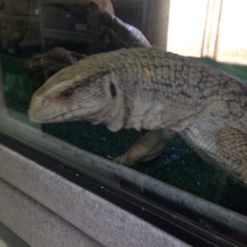 Wildlife Learning Center - Zoos Near Me - Sylmar, California Wildlife Learning Center - Zoos Near Me - Sylmar, California