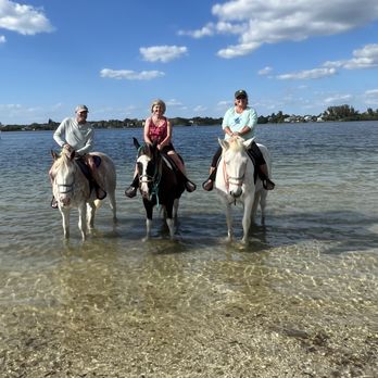 Florida Beach Horses - Beaches Near Me - Bradenton, Florida