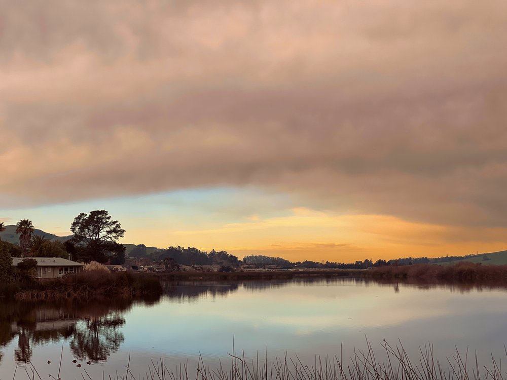 LAGUNA LAKE PARK 95 Photos & 55 Reviews 504 Madonna Rd, San Luis