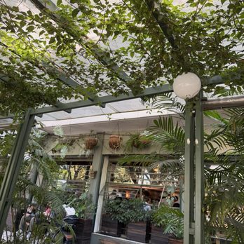 Lardo - Patio - Breakfast & Brunch Near Me - Ciudad de México, DIF Lardo - Patio - Breakfast & Brunch Near Me - Ciudad de México, DIF
