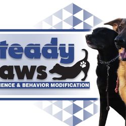 Steady Paws
