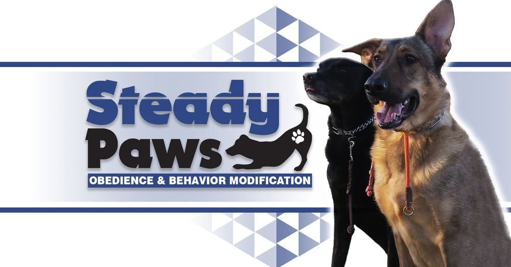 STEADY PAWS Request an Appointment 2721 Industrial Dr, Jefferson