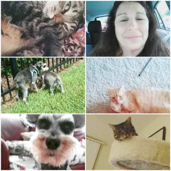 Aunt Lisa's Pet Care - Dog Walkers Near Me Aunt Lisa's Pet Care - Dog Walkers Near Me