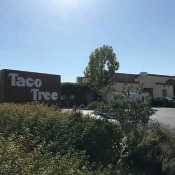 Performance Drywall - Taco Tree, Auburn California - Drywall Installation & Repair Near Me - San Jose, California