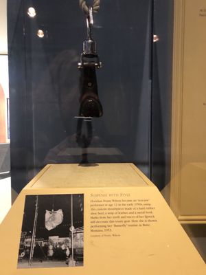Dr. Samuel D. Harris National Museum of Dentistry by null