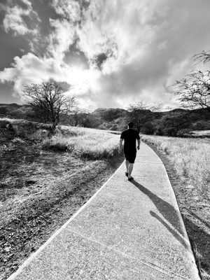 Diamond Head by null