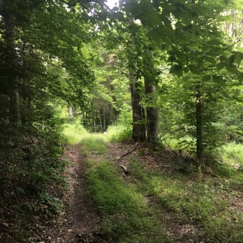 Horseshoe Creek Riding Stable - Horseback Riding Near Me
