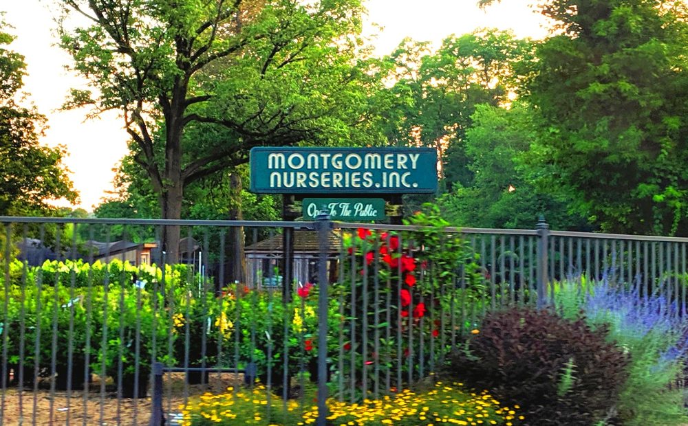MONTGOMERY NURSERIES 75 Photos Nurseries & Gardening 948 Sproul