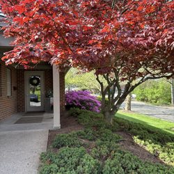 Borsky Dental Group