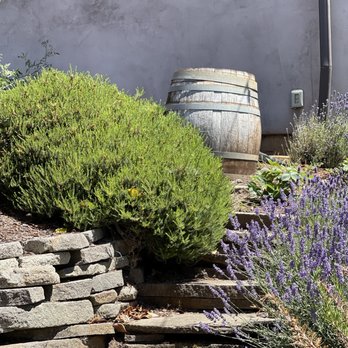 Sealionne Wines - a wine barrel and lavender bushes - Wine Tours Near Me - Newberg, Oregon Sealionne Wines - a wine barrel and lavender bushes - Wine Tours Near Me - Newberg, Oregon