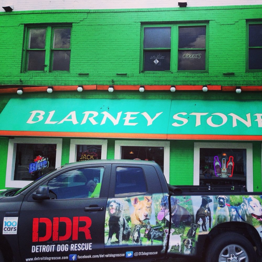 Blarney Stone Pub - Irish Near Me - Berkley, Michigan Blarney Stone Pub - Irish Near Me - Berkley, Michigan