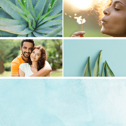 Suburban Medical & Wellness Center