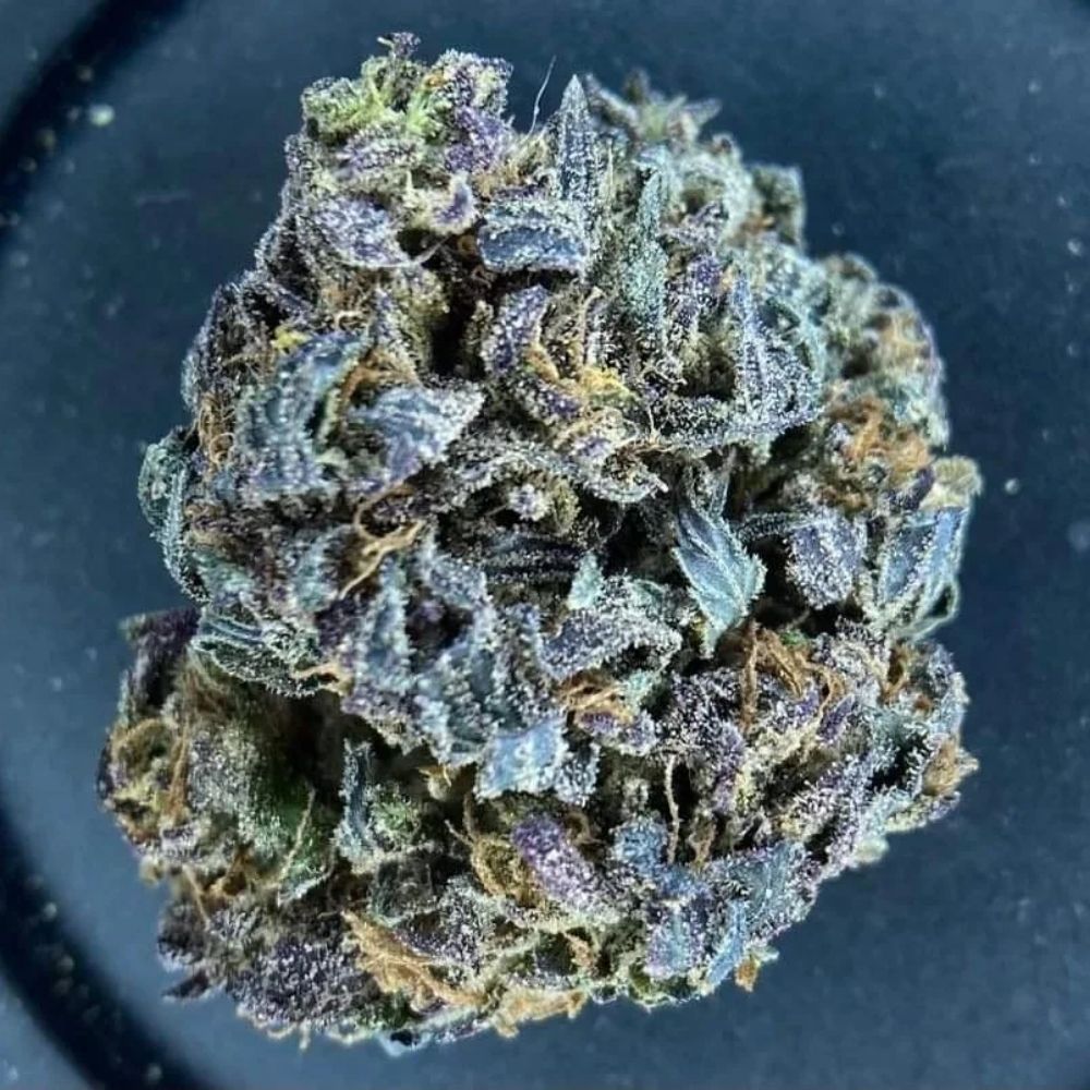 AMSTERDAM CAFE AND SMOKE SHOP Updated September 2024 301 San Pedro