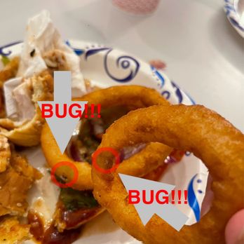 Denny's - Bugs on multiple onion rings - Diners Near Me - Springdale, Arkansas Denny's - Bugs on multiple onion rings - Diners Near Me - Springdale, Arkansas
