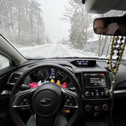 Subaru of Puyallup - She adores the snow