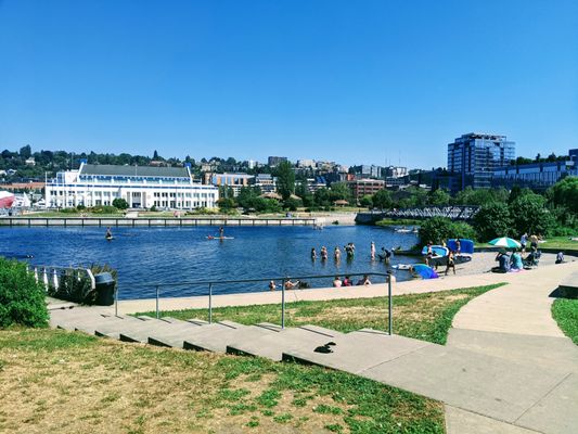 Lake Union Park by null
