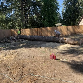 Anthony's Arbor Culture - Tree Services Near Me Anthony's Arbor Culture - Tree Services Near Me