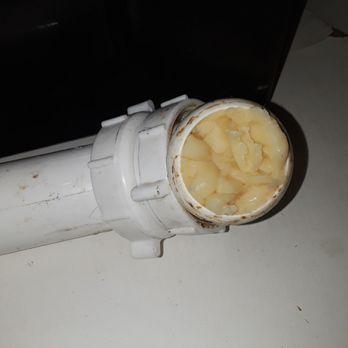 Rhino Rooter - Pasta down the dispisal. - Plumbing Near Me