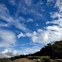 Photo of Palos Verdes Estates Shoreline Preserve