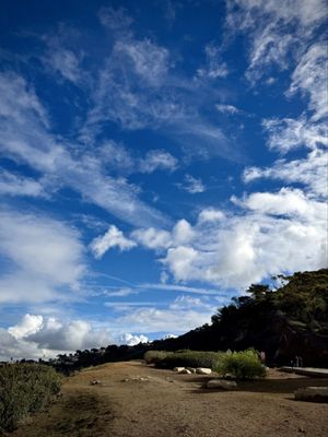 Palos Verdes Estates Shoreline Preserve by null