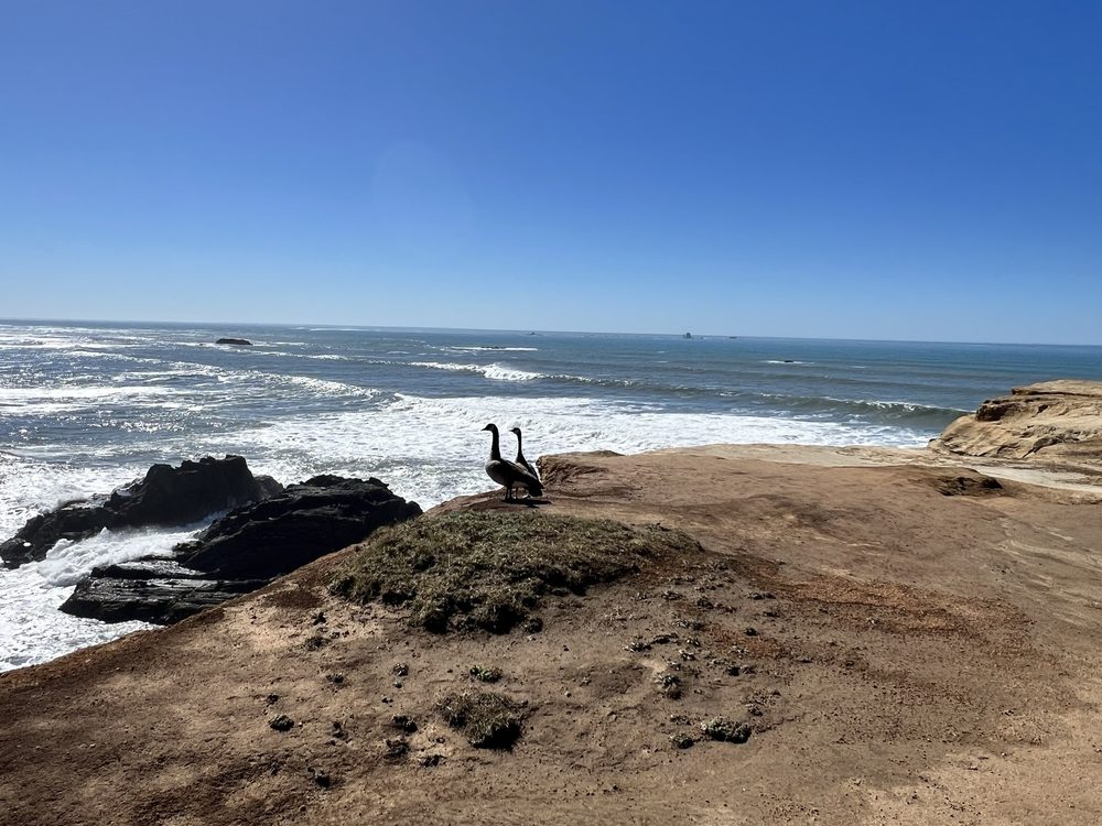 Otter Point State Recreation Site Logo