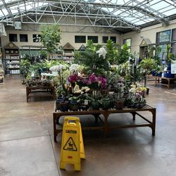 Sloat Garden Center