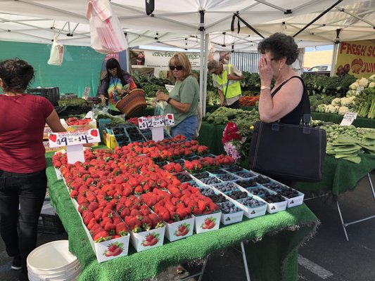 Joshua Tree Certified Farmers' Market by null