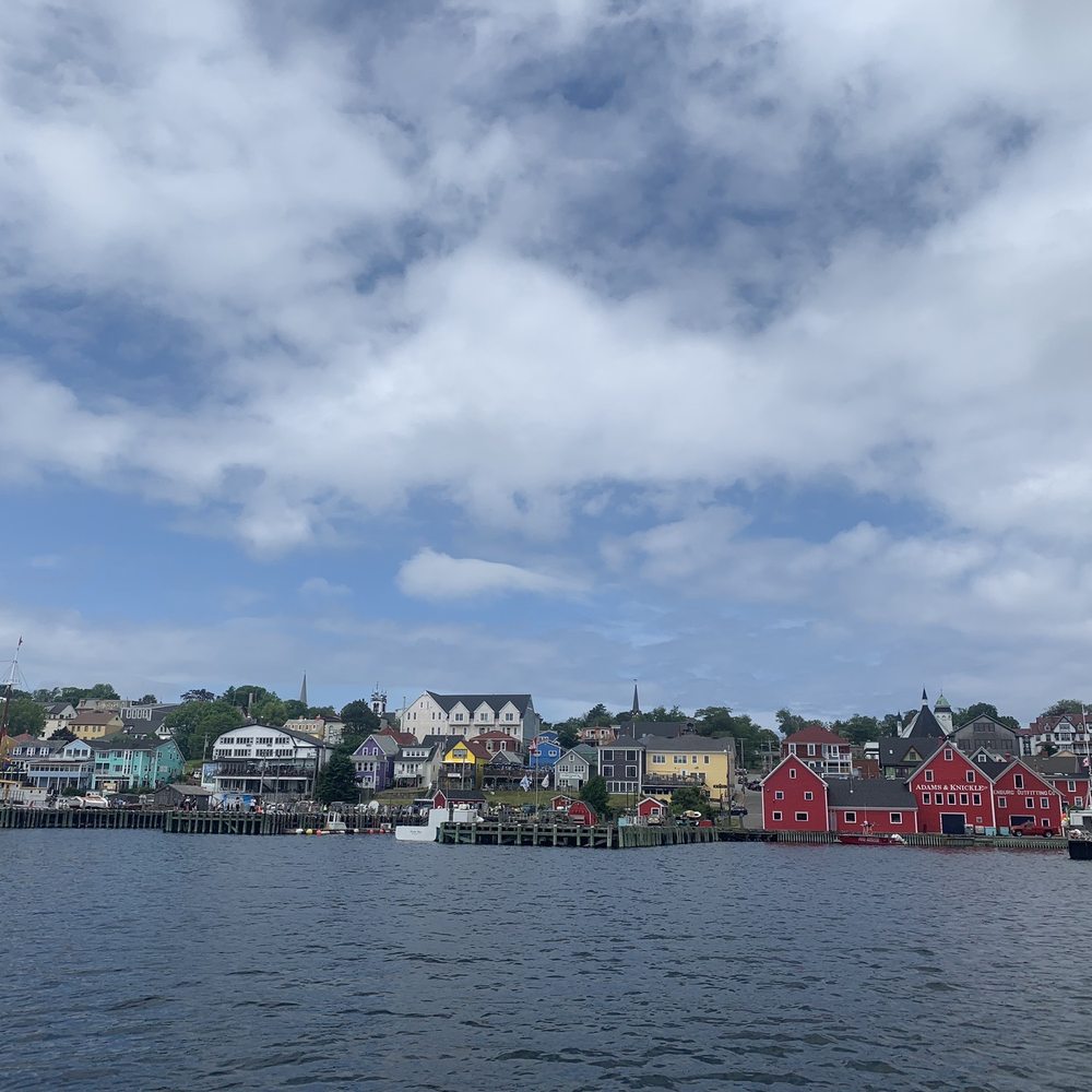 Nova Scotian Video Game Pt II : r/NovaScotia, image size:1000x1000